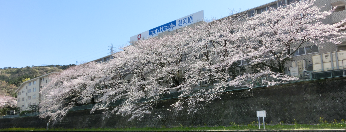 施設の外観