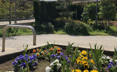 隣接公園の植栽整備