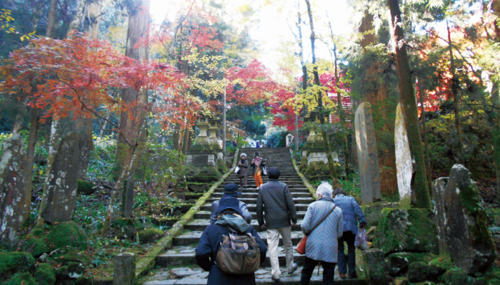 日帰りバス旅行